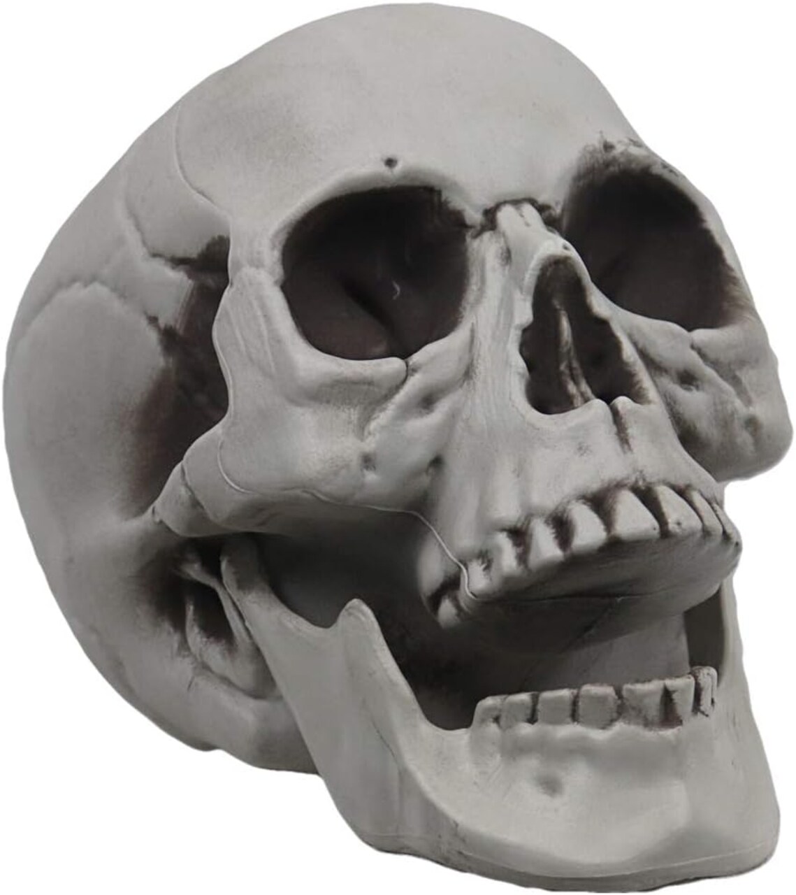 Life Size Skeleton Skull for Halloween Decor Graveyard Outdoor White